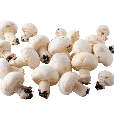 Шампиньоны свежие 500 г - купить в Хороде